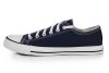 Converse Chuck Taylor All Star Low Blue