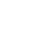 Air Jordan